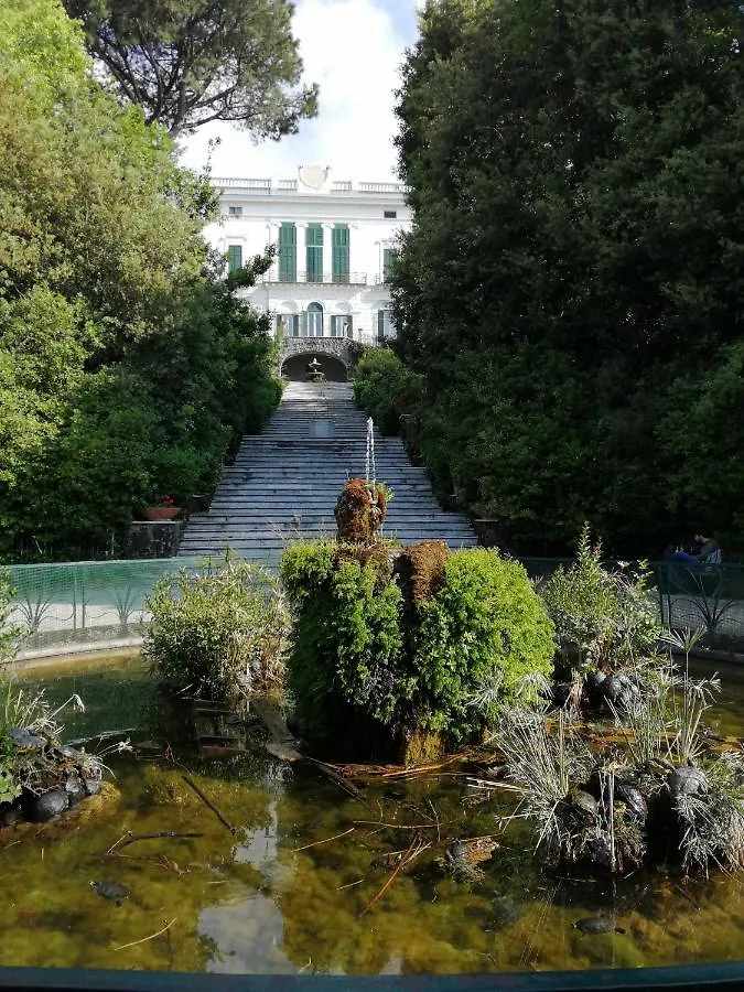 B&B Casa Malu Naples Bed & Breakfast
